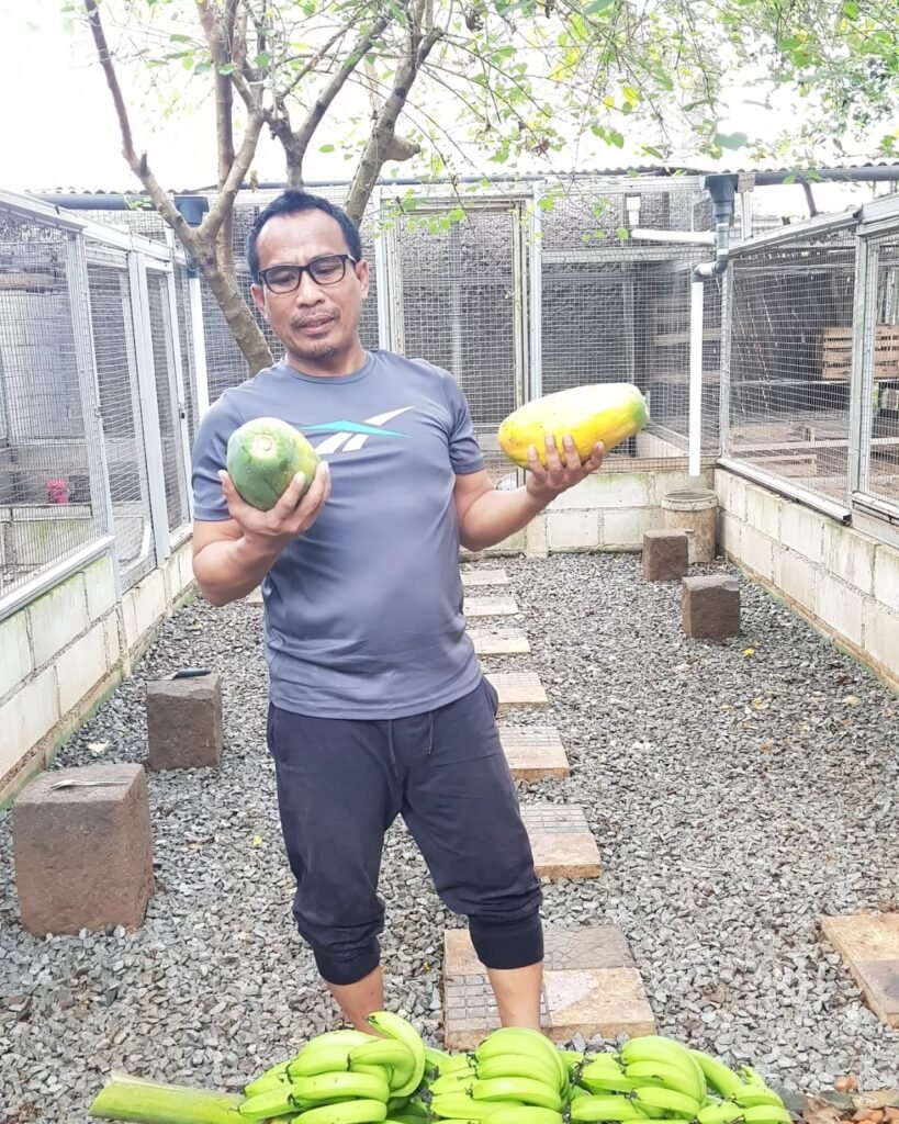 Panen Buah Hasil Kebun Sendiri